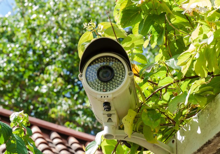 MESA_February_Blog_H1-768x537 Blog