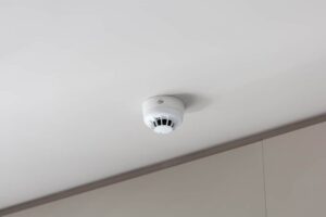 indoor-vape-detector-best-vapes-canada-blog_1000x667-300x200 Newhome